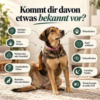 PawReset™ Tropfen